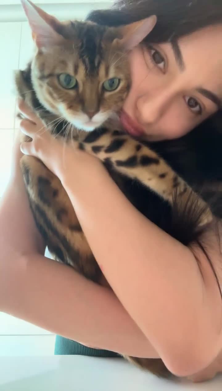 Zeydcarey ifsa: Yeşil kıyafetle kedi sarılma