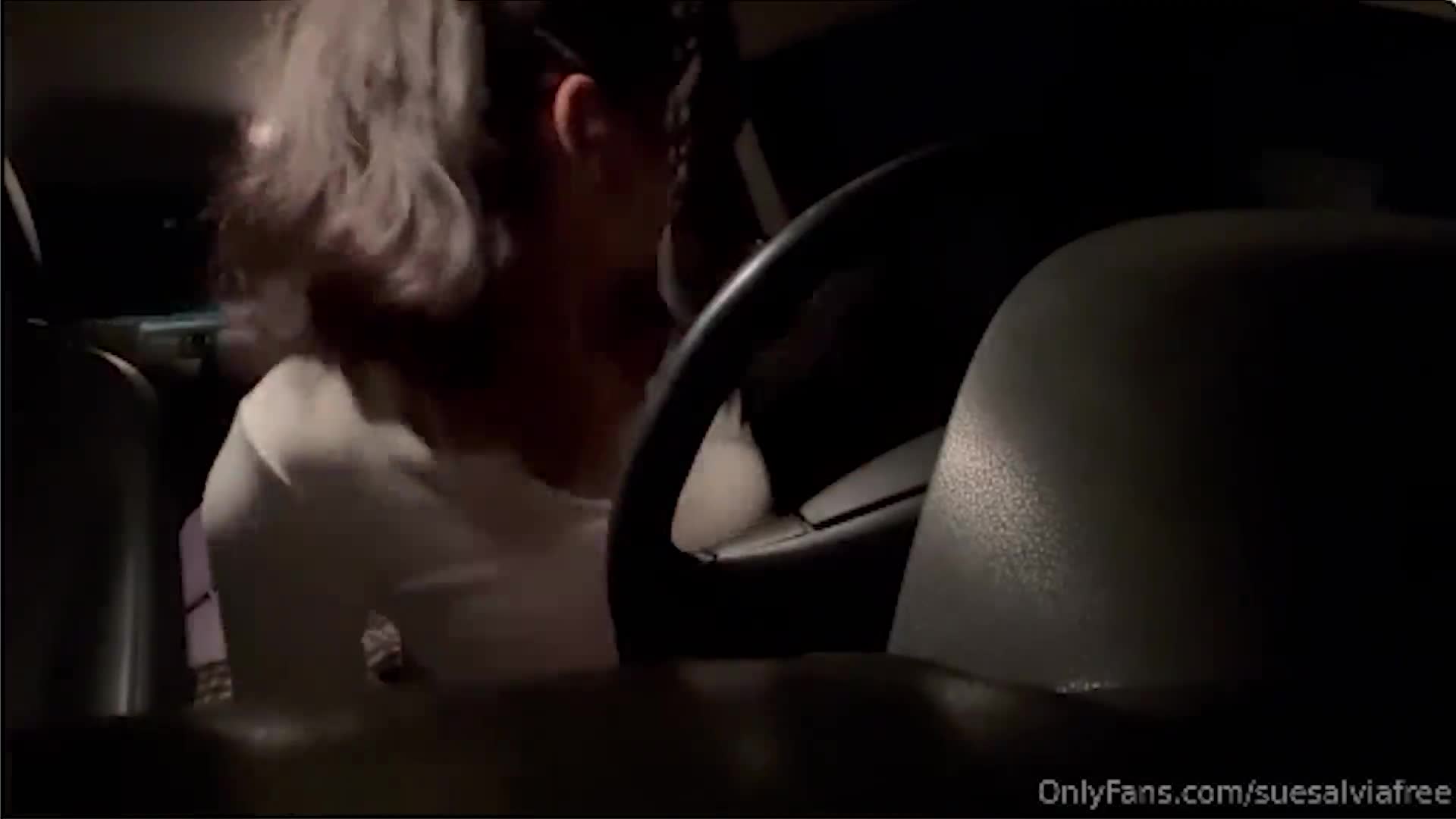 Suesalvia Araba İnleme Ifşası Başlasın