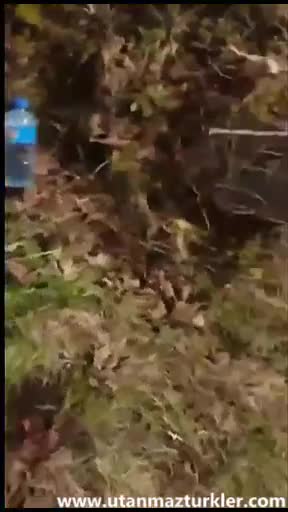 Türbanlı Kız Açık Hava Domaltma Sikisi